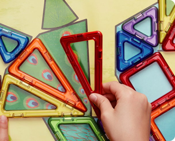Developing Mathematical Thinking